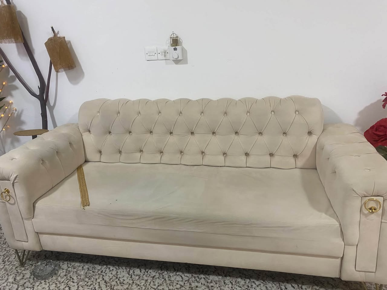 قنفات • نظيف • ١٠ نفرات