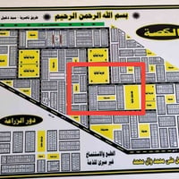 الكصه حي التربيه • ١٠٠م • ركن وجه واحد