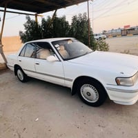كفالة • بارد • ضربة وصبغ