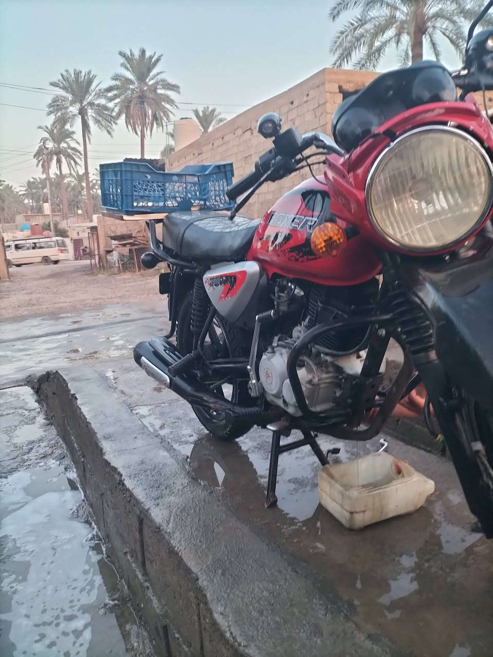 جبلي • 2022 • اوراق كاملة