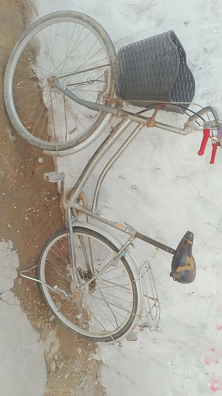 بيسكل • نضافة فول • شوفه
