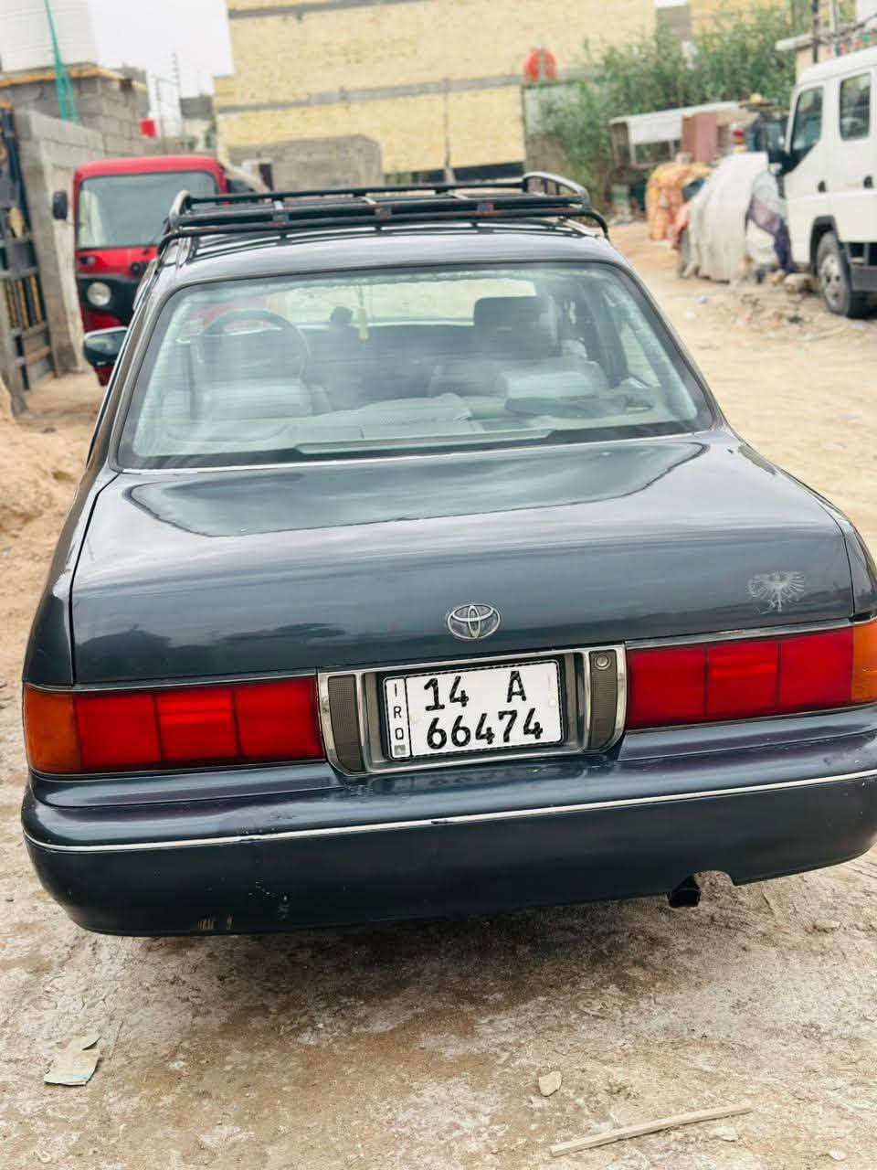 بطه كروان • صبغ عام • بصره
