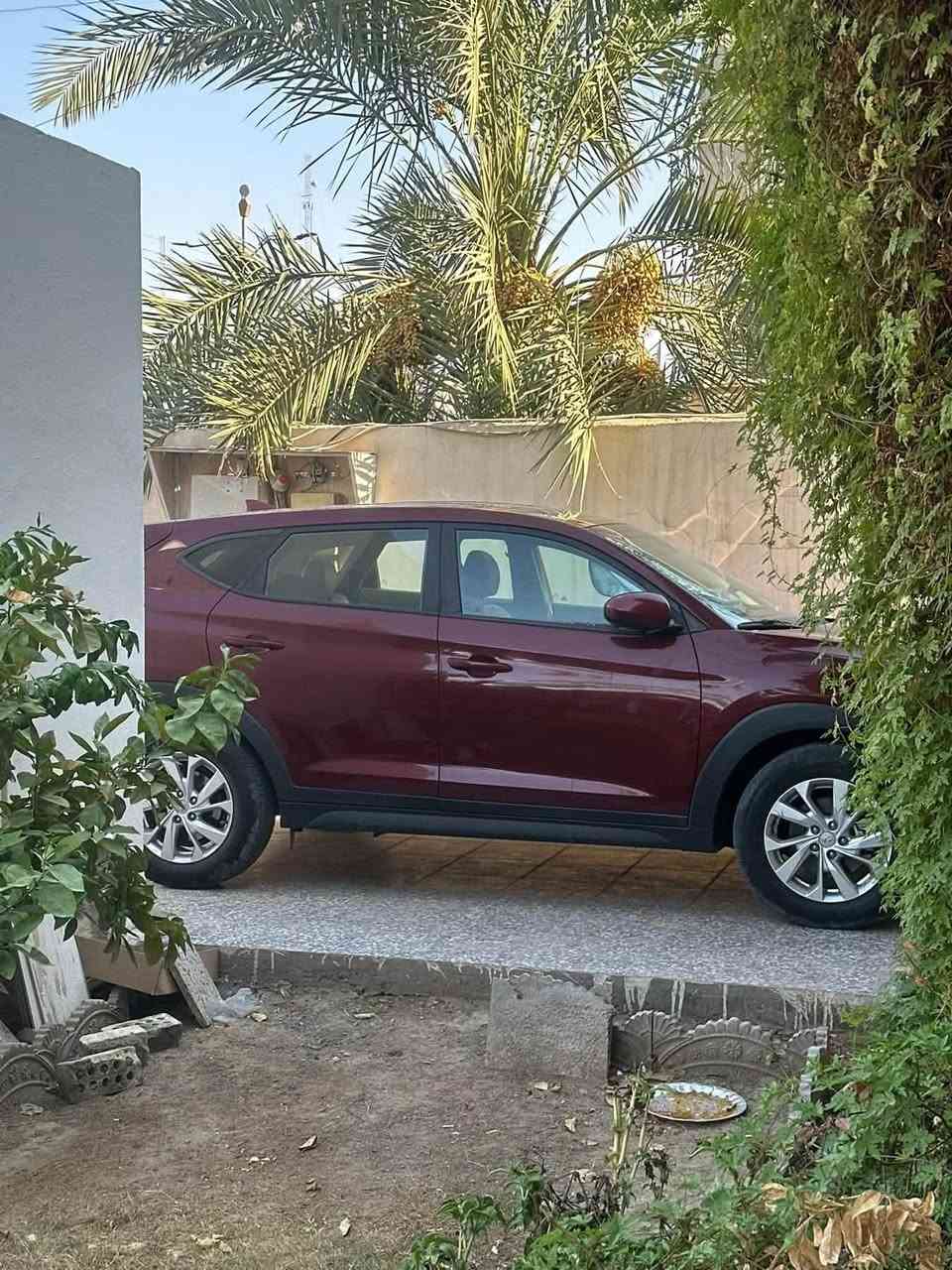 هونداي توسان 
موديل 2019 وارد امريكي
اللون كرزي (المميز) 🍒 
محرك 4 سلندر 2000
🟠 مواصفات 
رادار امامي مانع لصدمات 
مانع انزلاق
تحديد مسار
هاند بريك بصمة 
                                            Drive mode
توقف ذاتي 
نظامين اقتصادي/ وسبورت
السيارة طستها ناعمة ويل 17 
تبريدها ثلج
🔵ماشية قليل سيارة نظيفة مالبيت على أيد وحدة من جبتها من امريكا 
الضرر::
جاملغ أيسر من امريكا وهنا بالعراق باب السايق حادث بايسكل خفيف جدآ ومعدل بارد والباقي فول كير ومحرك مكفولة 🔺

🔴كشنات جلد بلادي كرزي وابيض 🔴
🟤 هزة جديدة وسنوية وأرقام بغداد 🟤

  🔴 سيارة جديدة حتى دفترها والكتلوك مالشركة هونداي موجود بيها ..

رقمها بغداد لاستفسار ***********
السعر 160 وبيها مجال مكاني فلوجة
