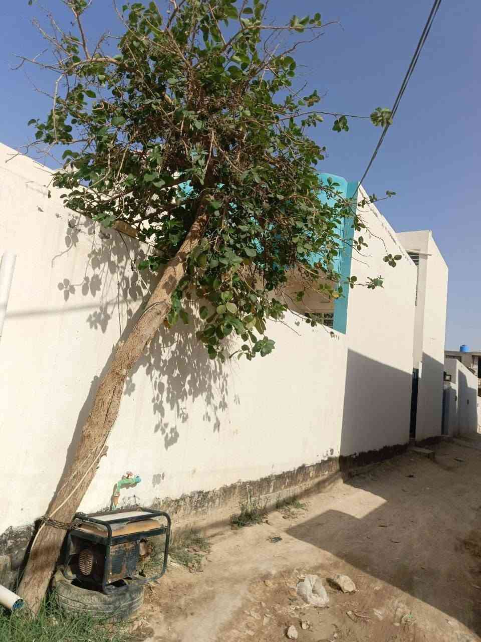 بسم الله الرحمن الرحيم 
السلام عليكم 
بيت للبيع يتكون من اربع غرف وصالتين و استقبال ومطبخ وصحيات تلاثة اثنين بالطابق الارضي واحد بالطابق الثاني وركن على شارعين مساحه 150 متر اضافة الى محل فارغ من ضمن البيت اضافه الى كراج سيارة شغل درجه اولى الطابق الارضي كاشي وسقف ثانوي والطابق الثاني بورسلين ويحتاج تلحيضات بسيطة ومثل ما موضح بالصور العنوان الكوفة منطقة السهيليه الجماعة الثالثة قريب على مستشفى الفرات للاستفسار اكثر الاتصال على الرقم ***********
