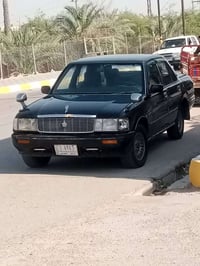 رنب كصيف • مكفولة • ضربات بسيطة