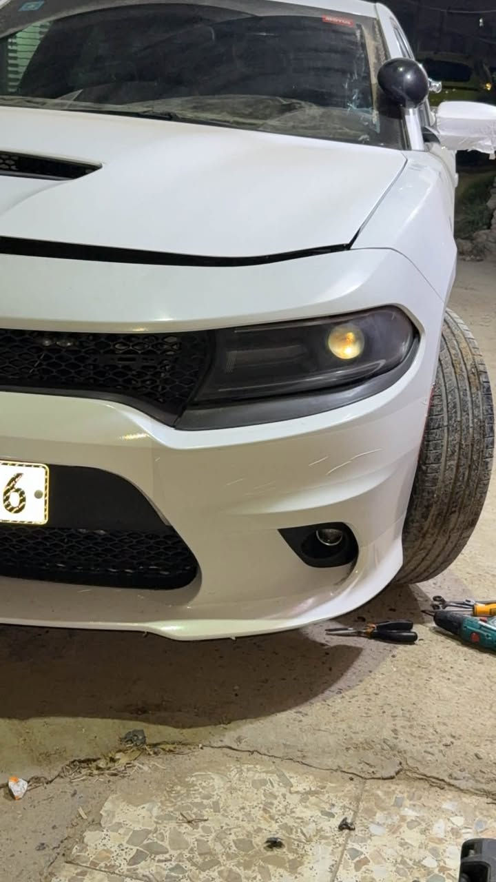 بنيد • دعاميه • جيتي