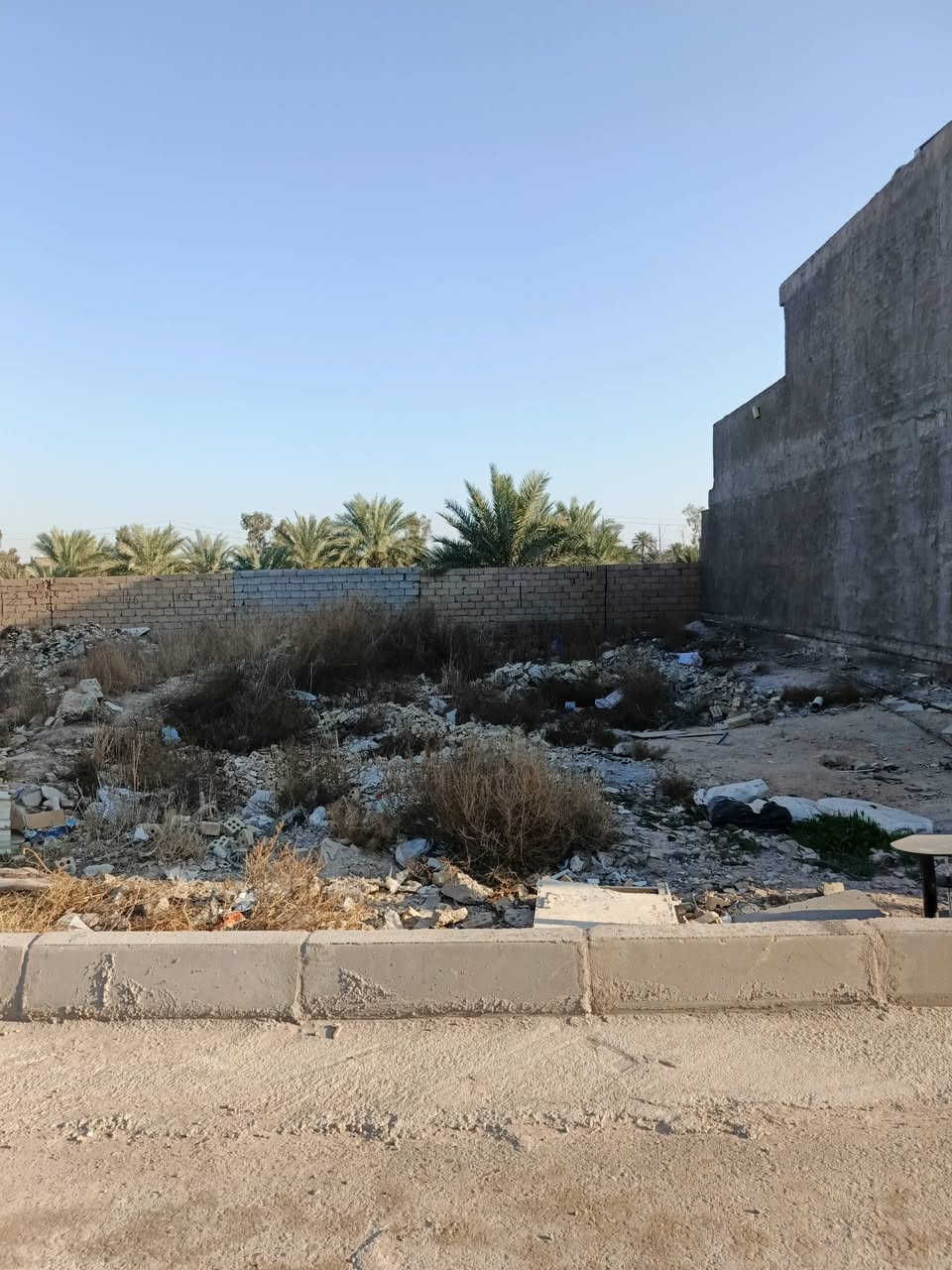 أرض ١٠٠ م زراعي سند ٢٥ نهاية شارع مدير الأمن غزالية
للاستفسار ***********
كامل خدمات
