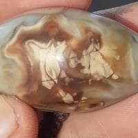 حجر داودي • مصور • بغداد