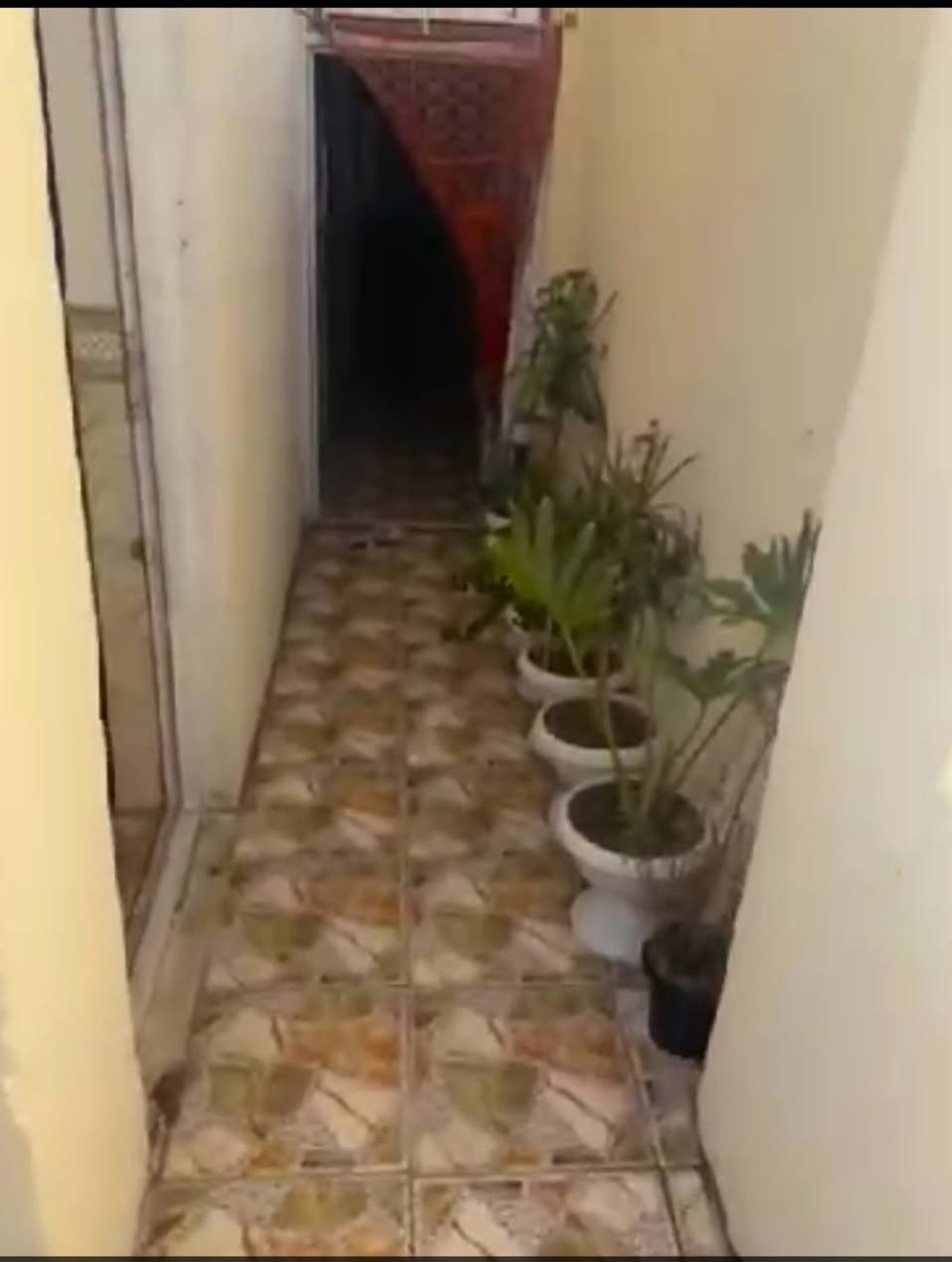 🏠 السلام عليكم ورحمة الله وبركاته
🔑 بيت للإيجار مؤثث بالكامل
✨ 100 متر – بيت جديد ونظيف
🏡 طابق واحد
📋 تفاصيل البيت:
• حمام خارجي
• مطبخ
• استقبال
• حمام داخلي
• غرفة نوم
• صالة
📍 الموقع: حي النداء – يم مدرسة الوردية ☑️
💰 سعر الإيجار الشهري: 400 ألف دينار
📸 تصوير البيت كامل متوفر
📲 للجادين، راسلني على الواتساب وأدزلك تصوير البيت كامل:
***********

نص مكتوب في الصور:
- مرحبًا بك في بيع وشراء عرصات النداء
