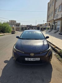 كورلا كوديل • ٢٠٢١ • الموصل الايسر