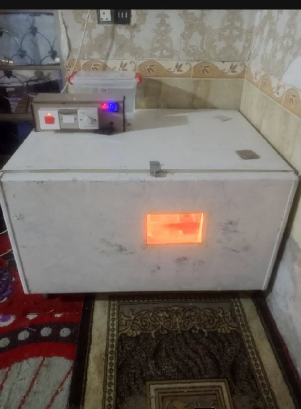 فقاسة • ٤٥٠-٥٠٠ بيضة • النجف