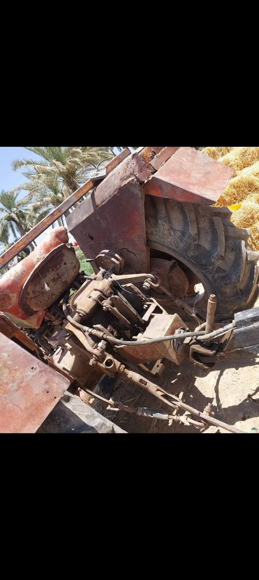 عنتر بدون للبيع مكان نجف ناحيه القادسيه موبايل ***********
