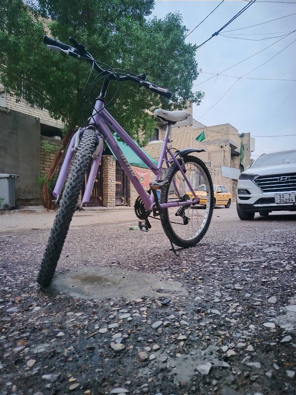 ٢٦ إنج • شيمانو ٩ نمر • بنفسجي