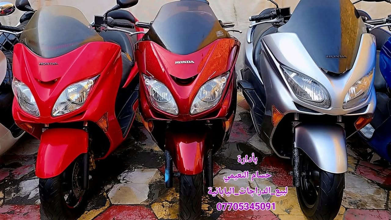 جديدة • رمبة • نقد وتقسيط