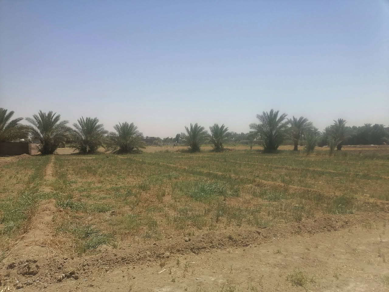يالله سلام عليكم ورحمة الله نص دونم مساحه 1250 شكد تريد منه ينباع نزل عرض٣٠ متر ونزل ٤٠ متر شارع ٦ متر وصل ليمهم بابل جبله فرع مصلخ ثاني قطعه ٢بسوك ماء نهر كدامك تجي وشوفه رساله بيه مولد حي كهربا ء كافات خدمات تجي وتشوفه ستفسار *********** و*********** سعر28 وبيه مجال لطيبين ما يعجبك منشور عبره كنك ماشفته
