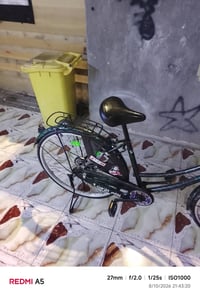 باسكل • بصرة • للبيع