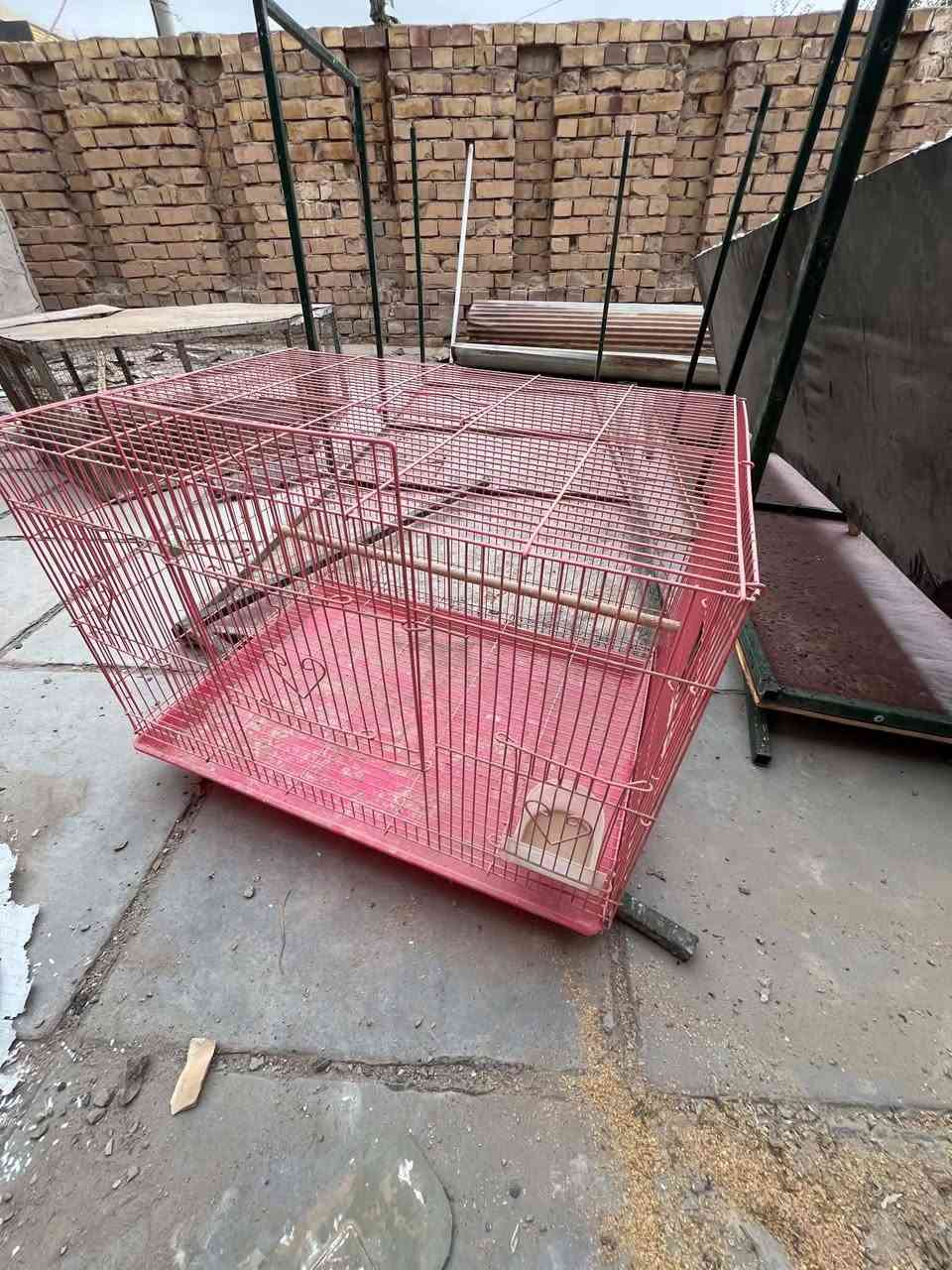 قفص وردي • بيوت طيور ١١ • ناصرية مركز