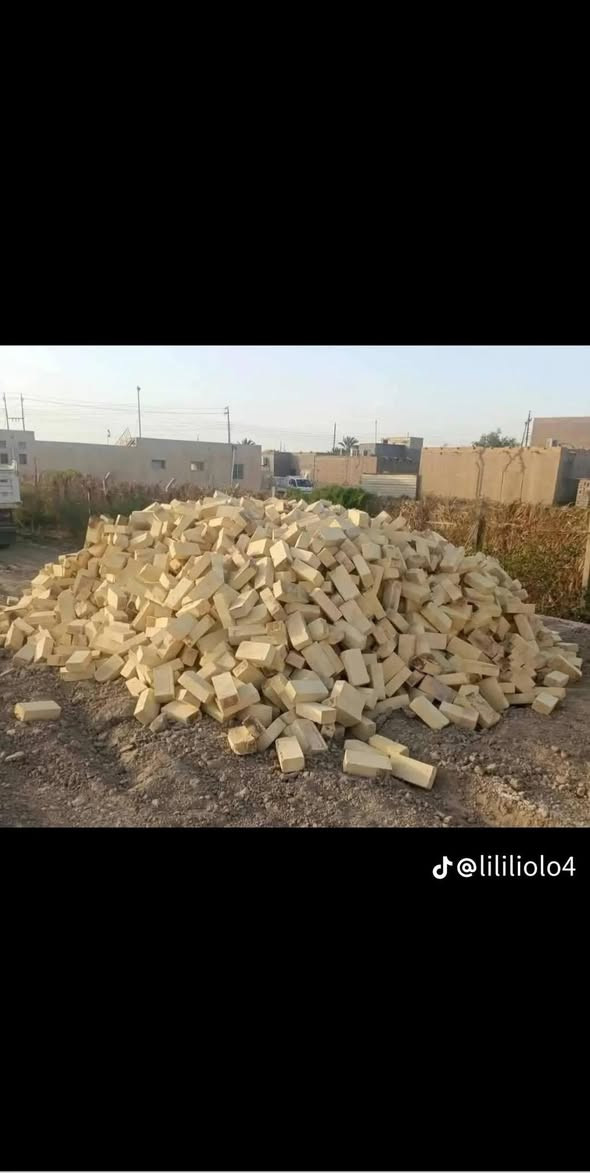 اللهم صل على محمد وال محمد
يتوفر جميع
 انواع اطابوق درجه اولى 
 الاستفسار (***********)
طابوق عكيل ✅
✅
طابوق انجكتر ✅
نتعهد بكافت المسئوليه والعدد ونوعيه  📤
وسيكون التوصيل بإتمام الوقت 🕕 اخوان السعر مايتحدد كل مكان وآله سعره وكل طابوكه وآله سعره هاذ السبب عدم كتابه السعر✅

نص مكتوب في الصور:
- @lililiolo4