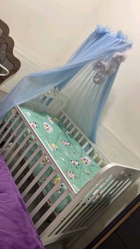 جربايه طفل • عاجي • بيه مجال