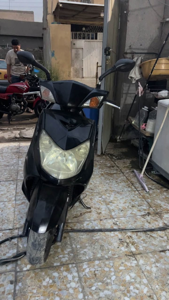 سكنس فحل • نضيفه حيل • أوراق كامله