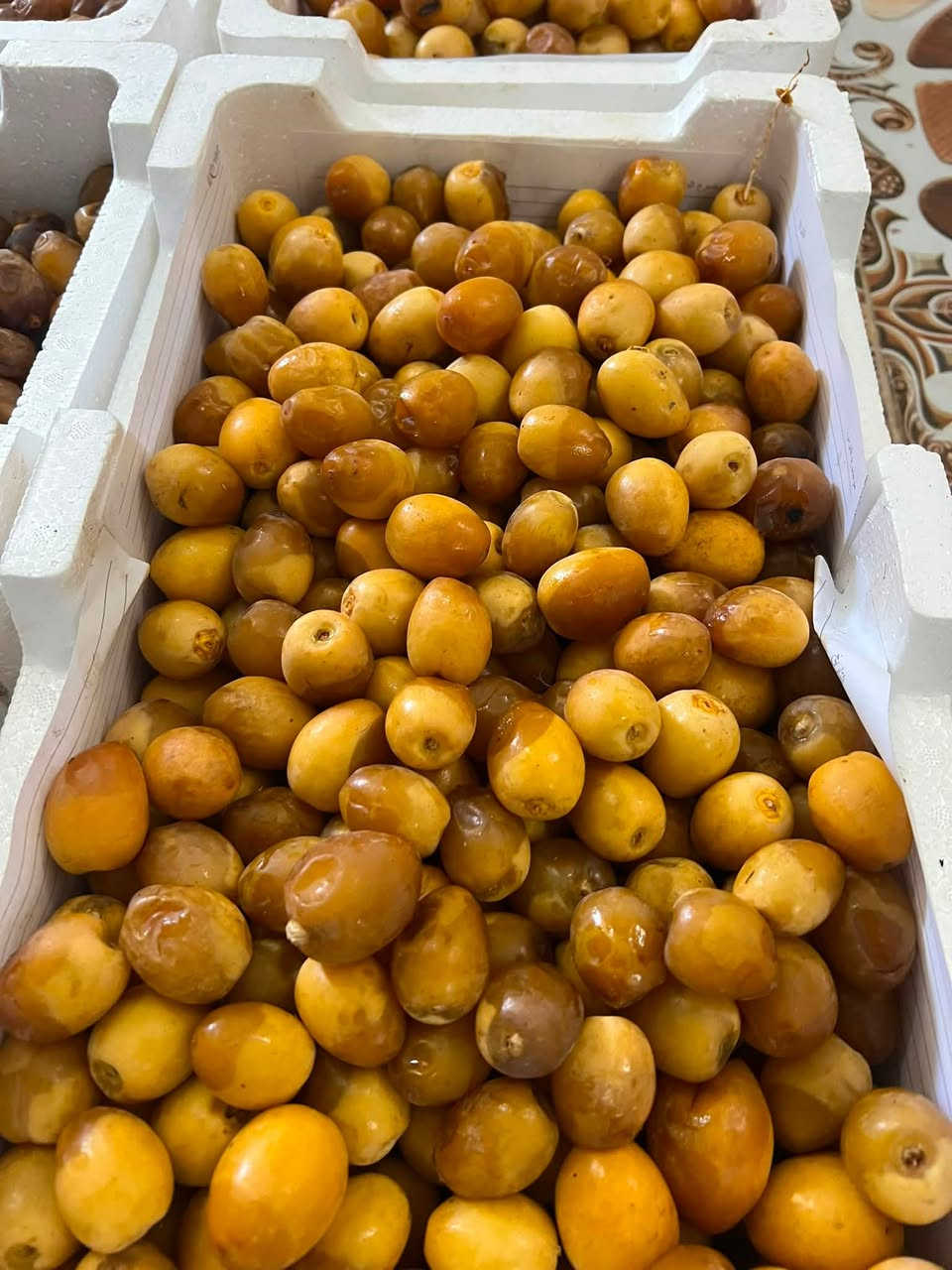 برحي • درجه أولى • توصيل