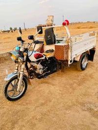ستوته • موديل ٢٠٢٢ • فحل عالي