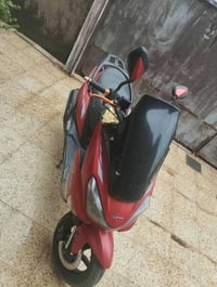 سكنس جبلي • نكره • بل مشي