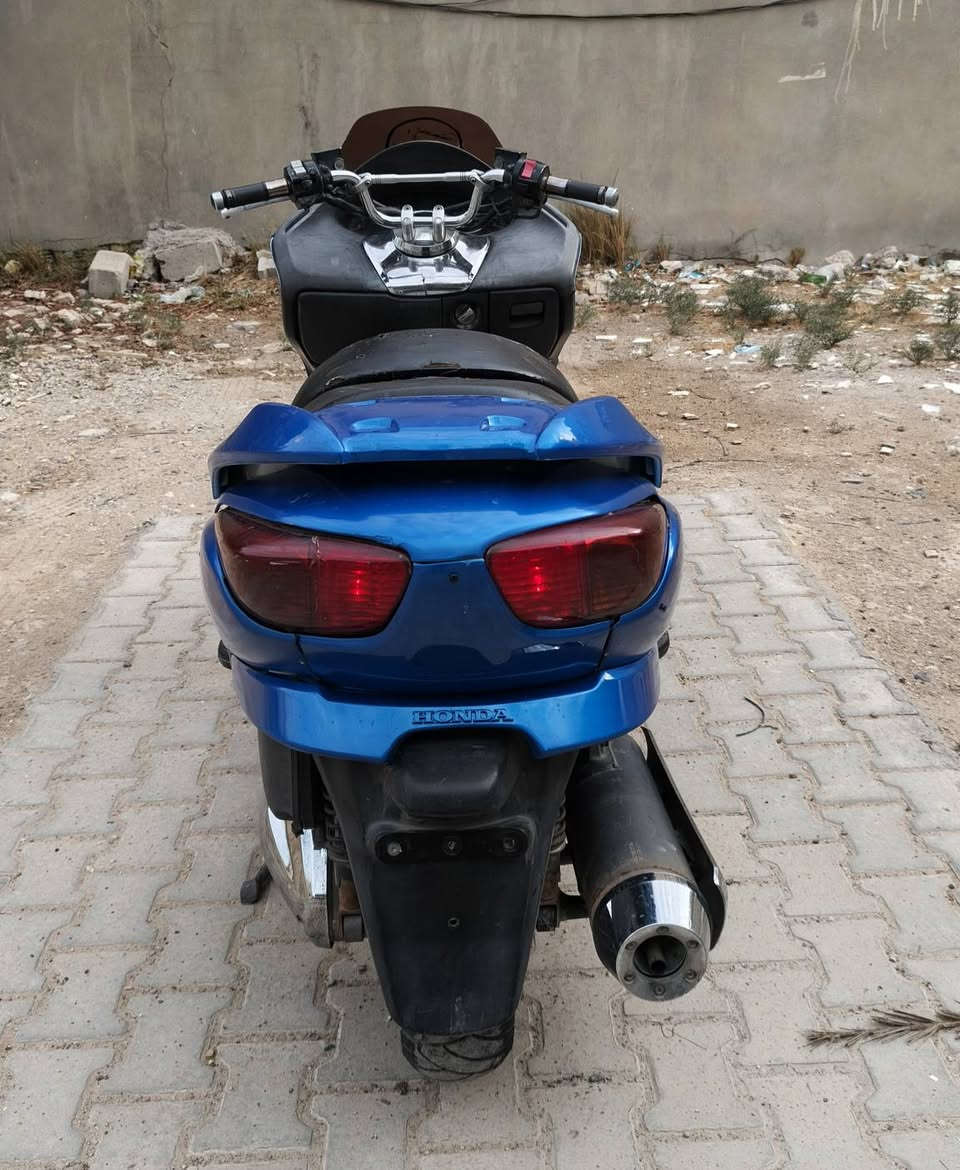 فورزة • سلف • اوراق