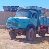 شاصي بلدي • كير ٢٥ • ٨٠