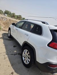 شيروكي بزون • ٢٠١٦ • قضاء النصر