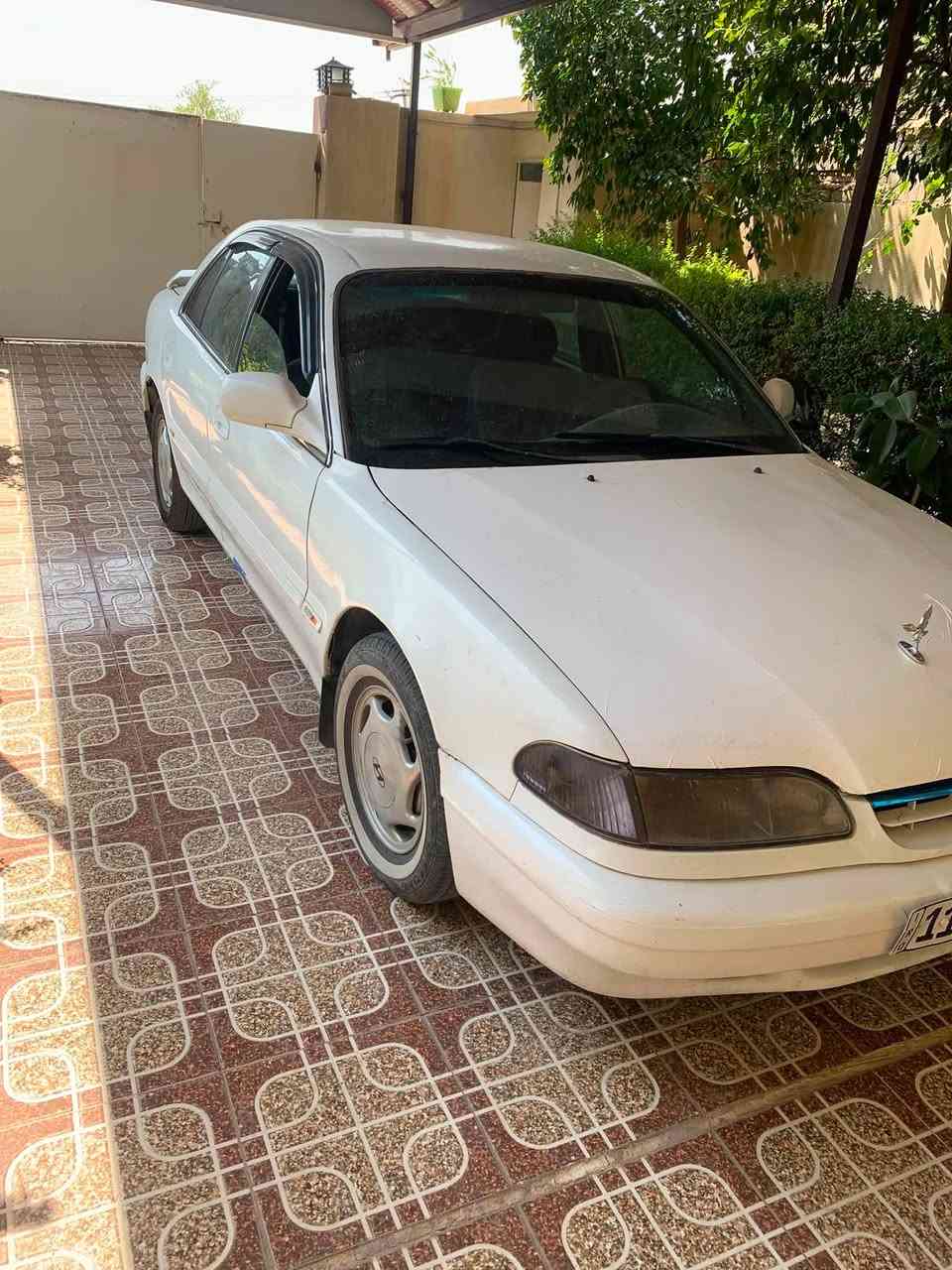 سوناتا 1995
رقم بغداد سنويه جديده تحويل ثاني يوم 
سعر 38
عنوان الغالبيه ..... ***********
