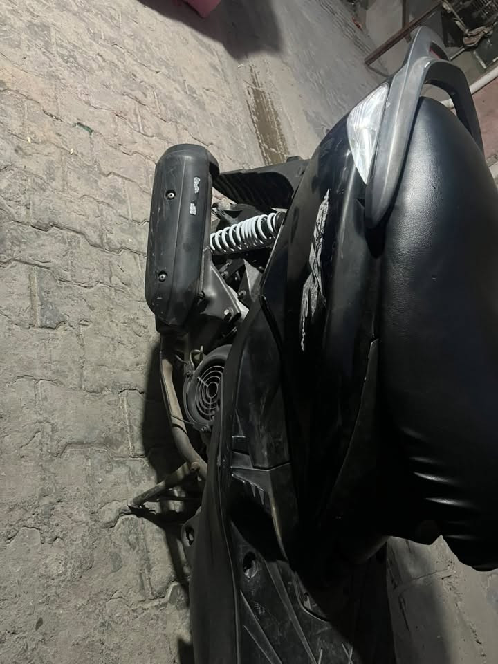 ثعلب • جديدة • كاملة