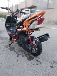 نضيفة • سلف • هندر