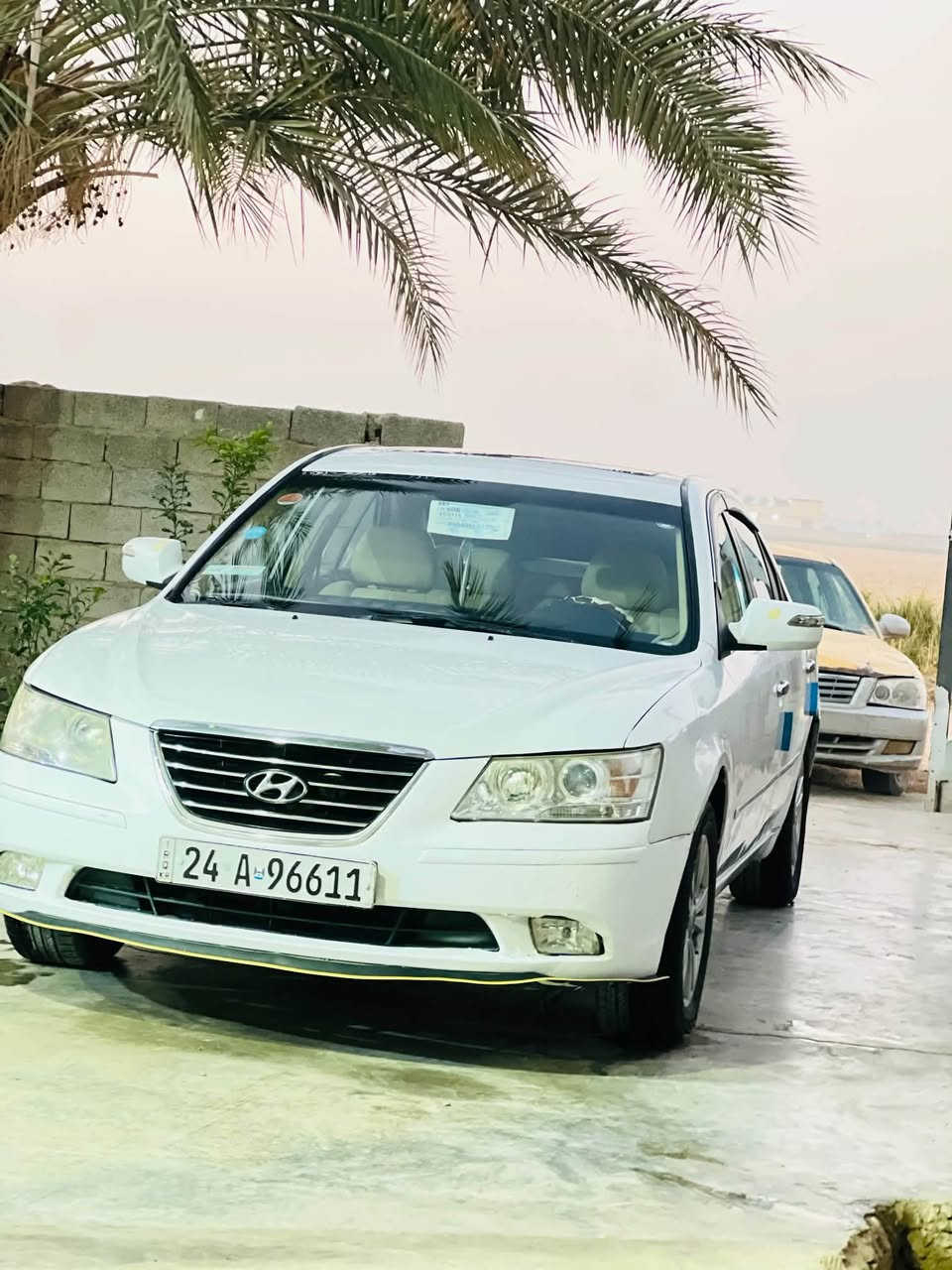 سوناتا • صبغ • اثر حادث