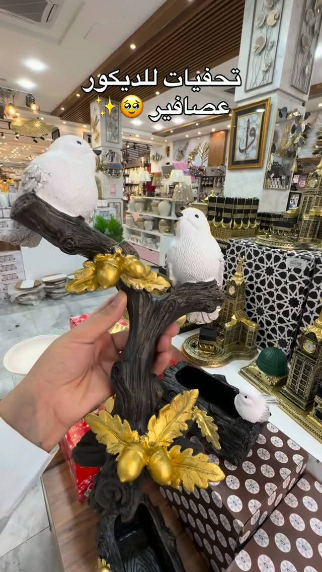 البصرة • تحفنيات • عصافير