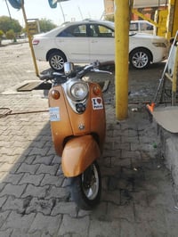 07733493156