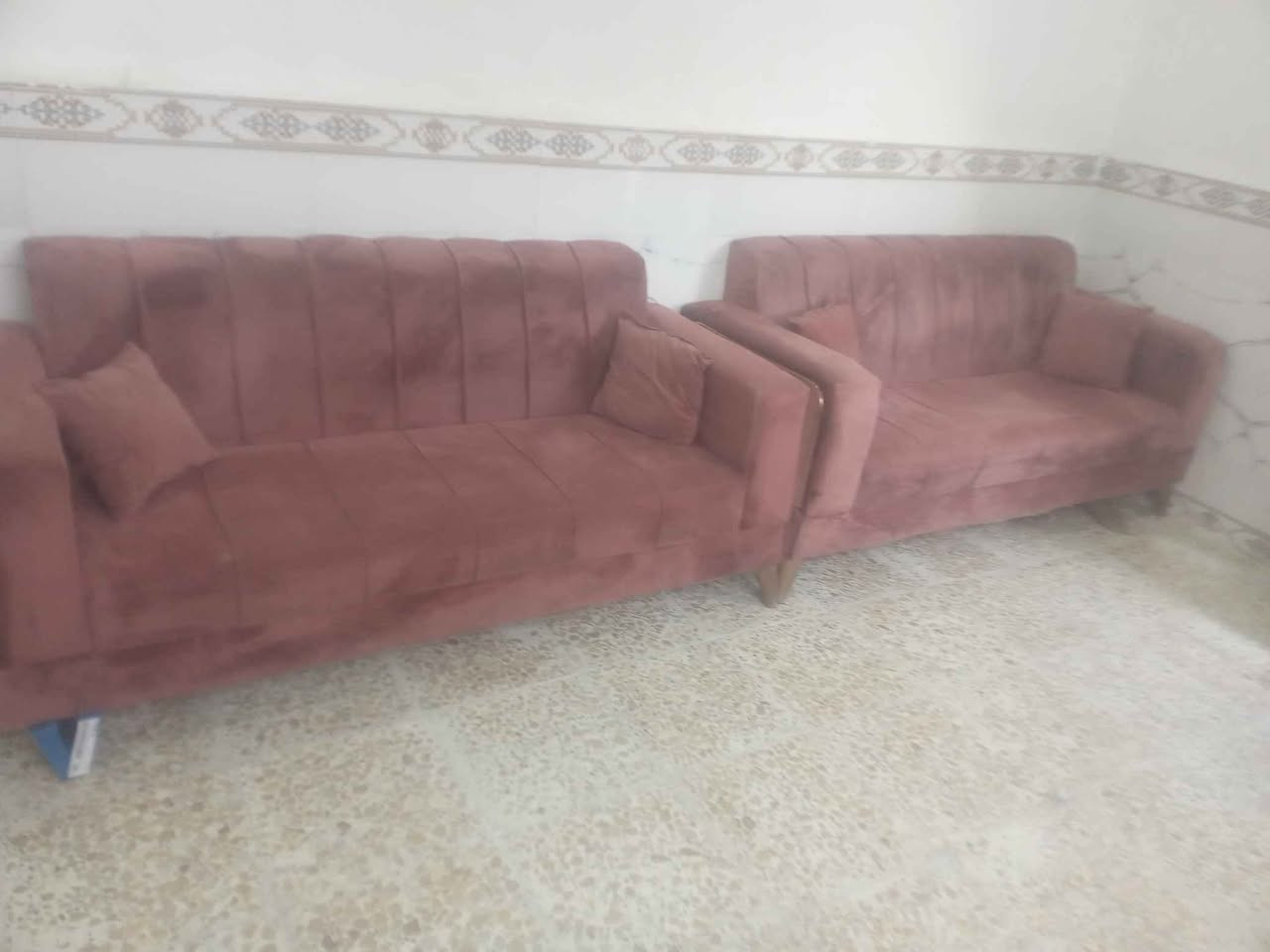 ‎تخم قنفات النوعيه زينه  ***********‎ النجف, العراق
