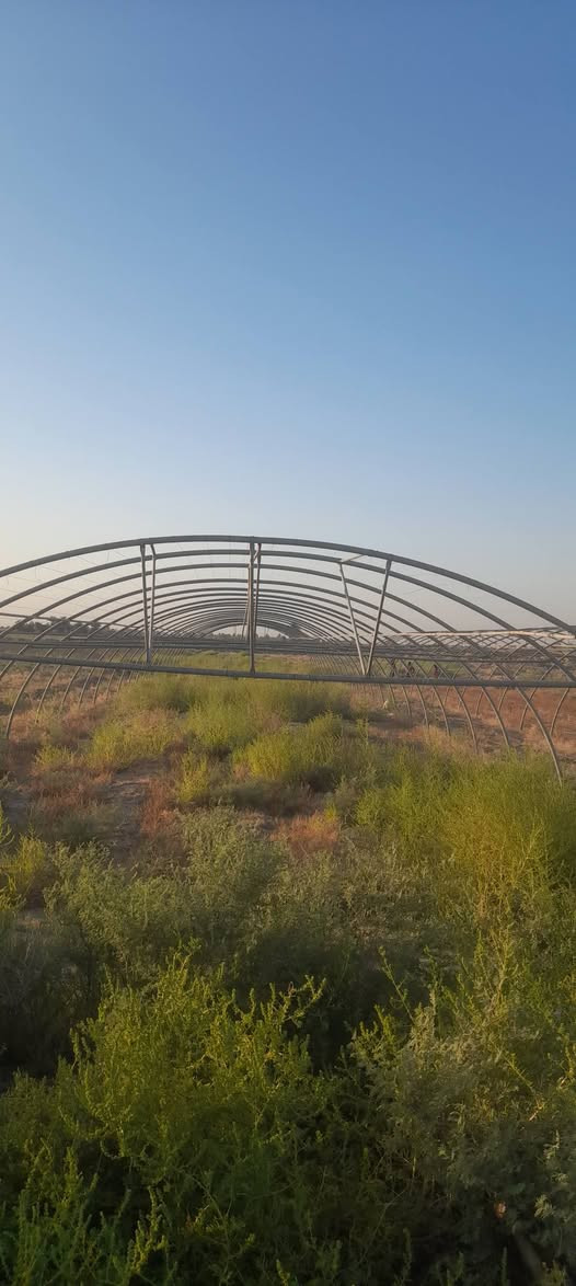 السلام عليكم
بيوت عدد ٢ اردني جوي ٢٤ حنيه حديد مع سيم وابواب فقط نظيفات السعر المطلوب ٤ ونص وبيهن مجال حك الجيه مكاني بابل جبله  ***********
@إشارة
