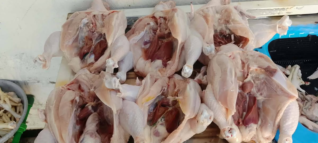 مجزرة النعمانيه • دجاج حي • دجاج مقطع