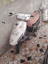 فراشه • شغاله • سعر مناسب