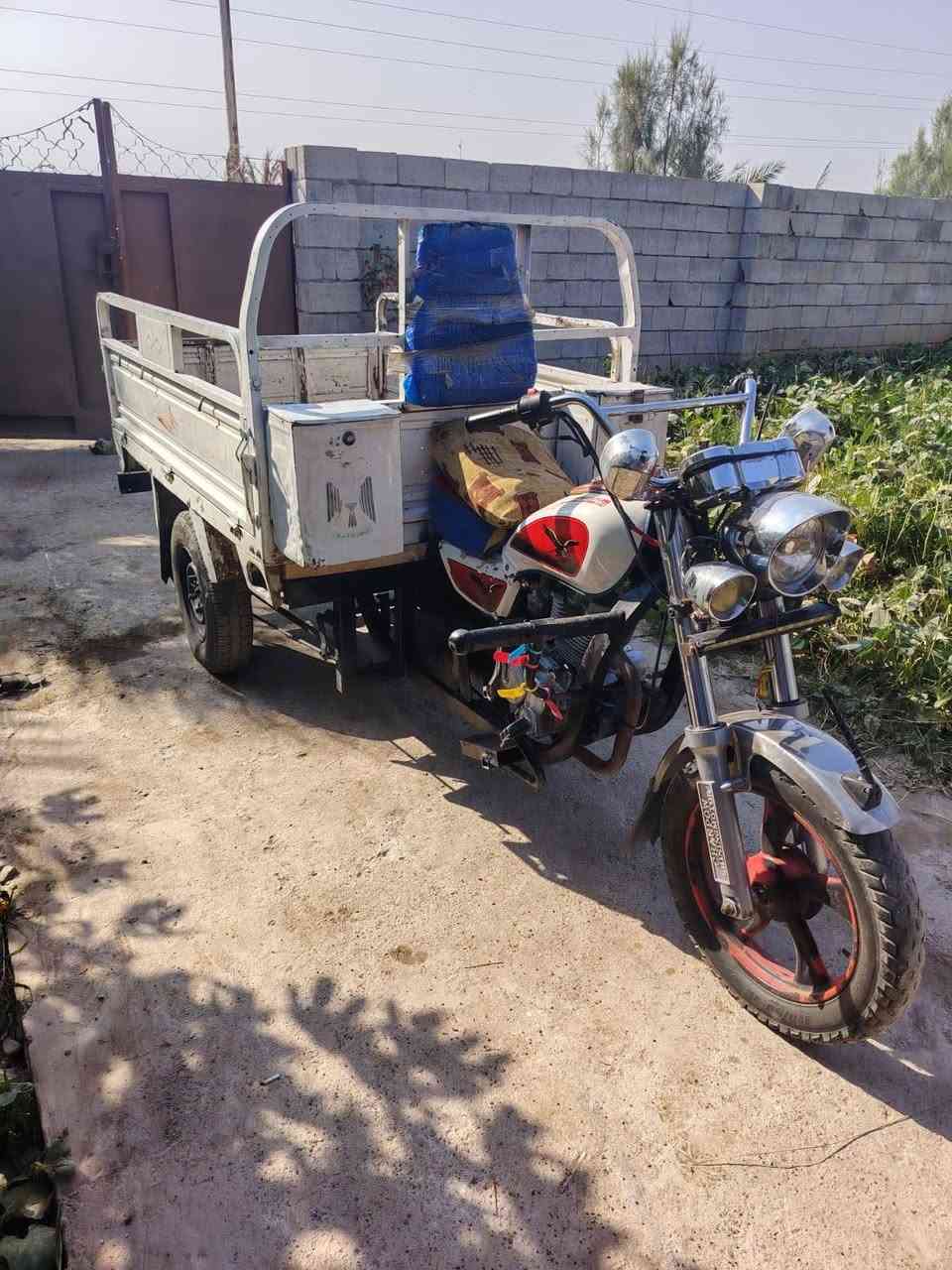 ستوته • فحل شمالي • ٢٠١٦