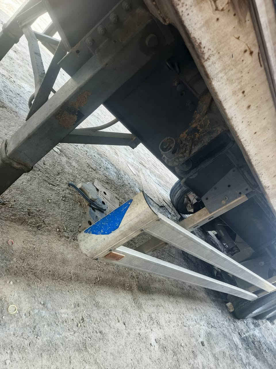 عربانه • نص جناب • كفاله