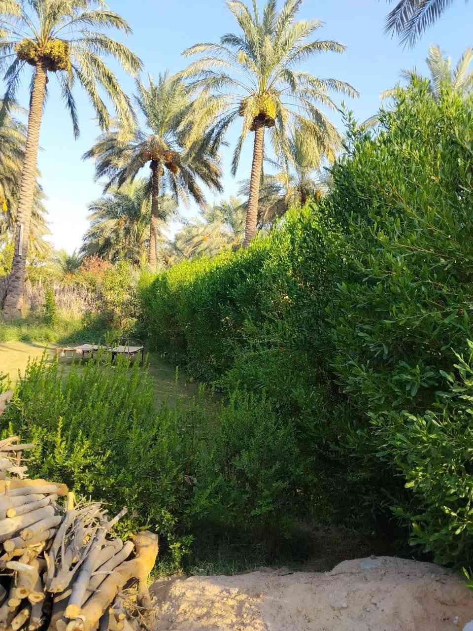 سلام عليكم يوجد بيت للبيع مساحه الف متر يحتوي على 2غرف نوم واستقبال ومطبخ وحولي وصحيات طابو زراعي سند25 إقرار محكمة العنوان بغداد الراشديه قرب كاظم العلي الاتصال على الرقم ***********
