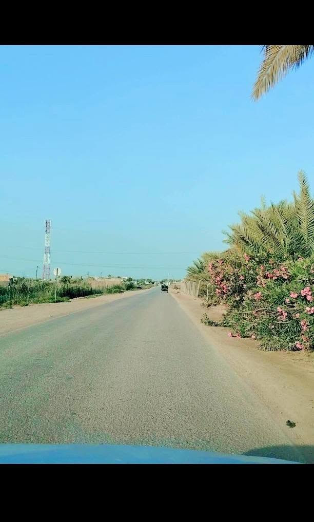 بستان عنوان طريق حله نجف خلف جامعه بابل مساحه 3دوانم وربع مساحه 8750متر طابو زراعي سند 25 بسمي تحويل سند بأسم المشتري ويبعد البستان عن طريق حله نجف 2ونص كيلو نهر سقي خلف البستان وماي اساله متوفر 24ساعه وبير ارتوازي سعر الكلي 190مليون
*********** وتساب 
*********** اتصال    مرخصة الادمن

نص مكتوب في الصور:
- نبتة