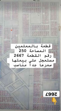 مقاطعة المعلمين • ٢٥٠م • مستعجل
