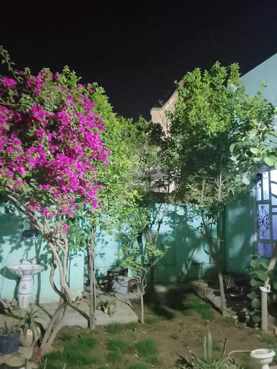 📍 دار سكن طابو صرف حي صباح المحامي  اول شارع بالحي (الصادق الاول)
✅ المساحة: 250 متر
✅ طابق واحد عكادة
غرف نوم  2
مجمع صحيات 2
براني 
صالة 2 
مطبخ حار وبارد 
🟩 تبليط خدمات ماء كهراء نت ضوئي 
✅ موقع ممتاز جدا و قريب
✅واجهة 12 ونص  على شارع عريض و النزال 20
السعر : 160 مليون مع المجال 🔥🔥🔥🔥🔥
📞 للاستفسار والمشاهدة
مراجعة مكتب عباس ابتيت (حسين للعقار) بشارع سيد يونس مقابيل سعد القطري للعقار 
***********
