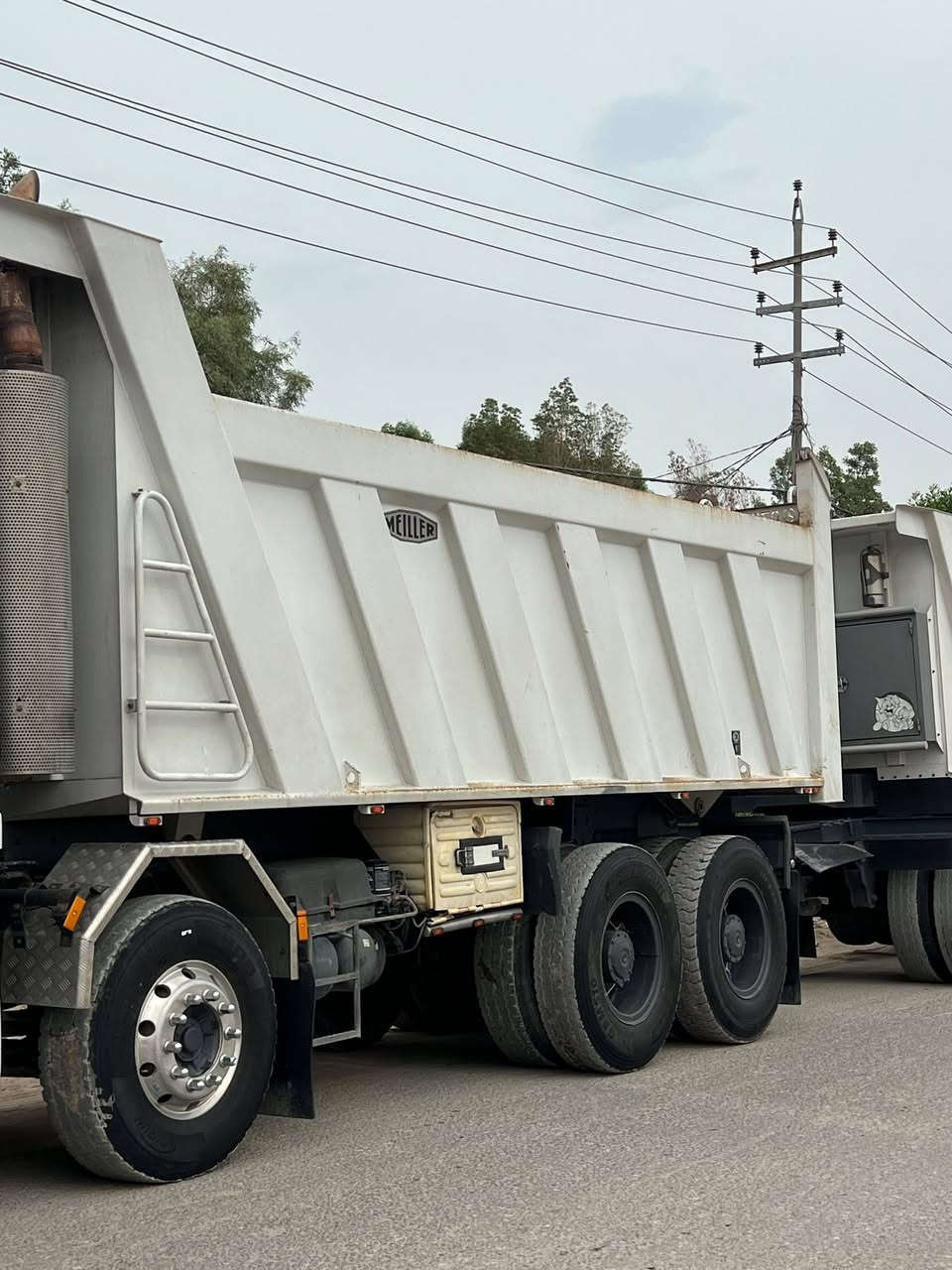 مايلر • جديد • أوراق