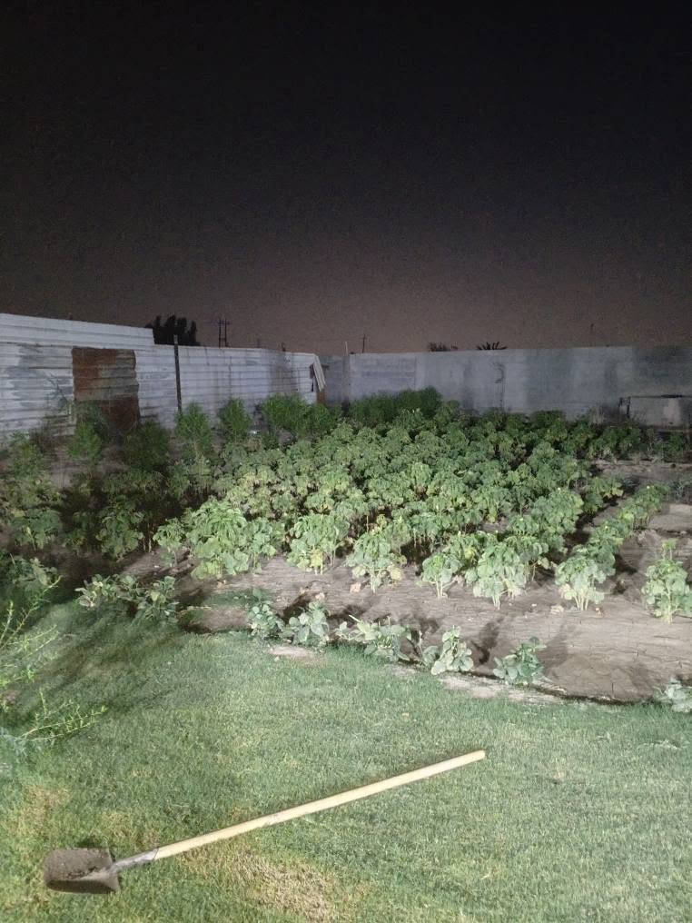 ارض زراعي سند 25على طابوالمحمودية تحويل مباشر مساحت الئرض 700مترصافي تحتوي علا منزل 250متريحتوي المنزل علا ثلاث غرف نوم وستقبال ومطبخ وحولي وصحيات علمن المشتري يدخل اسمة بلسند المنطقة اليوسفية بئر الحمام واي استفسار هذا رقمي *********** بغداد, العراق
