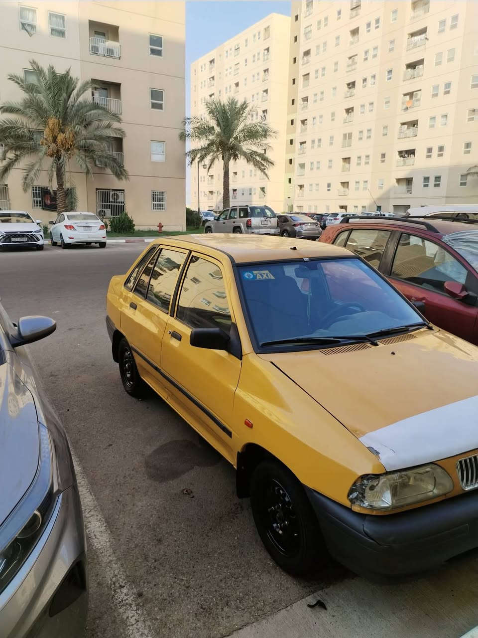 سايبا • صفراء • مسيب