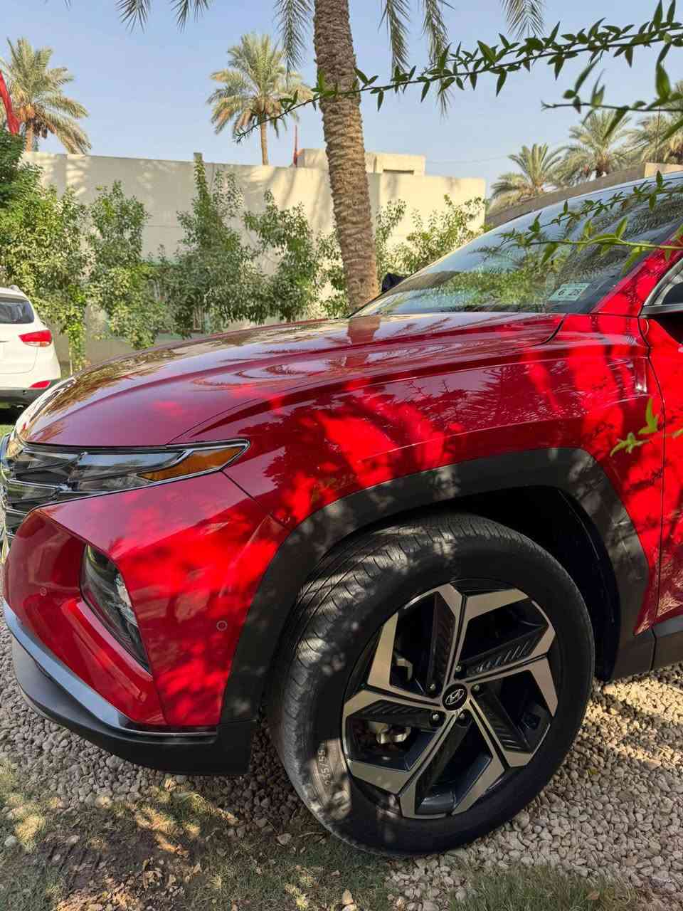 بيع 💰 مراوس🔄

الاستيراد : امريكي
الشركه : هونداي
النوع : توكسان
الفئه : لمتيد
الموديل : 2023
اللون : احمر دموي
مسافه : 49,000mi
المحرك : 2500 بنزين
الضرر : قطعه واحده فقط
ايرباك : سليم
ضرر قوي : لايوجد
لوحات : لا يوجد
__________⬇المواصفات⬇_________
1-بنوراما 
2-رادار خلفي 
3-رادار امامي
4-رادار جانبي
5-نقطه عمياء
6-مقاعد كهرباء
7-مقاعد تدفئة+تبريد
8-جنطه كهربائية
9-خزن ميموري
10-كامره 360 درجه
11-مثبت سرعه
12-تحديد مسار 
13-قياده ذاتيه
14-تحكم ريمونت كانترول عن بعد
15-تشغيل عن بعد
16-شاشه كبيره 
17-كاربلي
18-ليد نهاري
19-حساس امامي 
20-حساس خلفي
21-اشاير مري
22-ستيرن تدفئه
23-اوتو هولد
24-مساعد ركن 
25-درايف مود 4
26-حجم الويل 19
27-شاشة اعطال
__________⬇التفاصيل⬇_________
السياره مكفوله كفاله عامه ماعدا الجاملغ الامامي الايمن تبديل نفس اللون فقط 
بدون دواخل بدون ايرباك 
السياره فول حبه
وبدون ضرر قوي 

الاستفسار : 
***********
